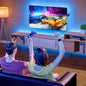 Ruban LED RGB (3, 5 ou 10 mètres) Haut de Gamme.